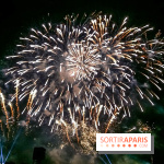 Visuels feux d'artifice - 20140913 221014