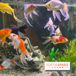 La Maison de la Pêche et de la Nature - image00004