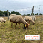 La ferme de Saint-Cyr l'Ecole