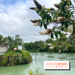 Neuilly Plaisance, le port de plaisance de Neuilly-sur-Marne - image00076