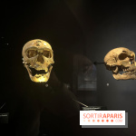 Le musée de l'Homme - collections permanentes