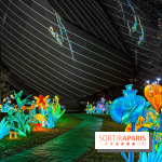 Festival Dragons et Lanternes - Jardin d'Acclimatation - image00141