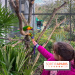 Visuels enfants, attractions, parc, Jardin d'Acclimatation, animaux, zoo - image00034