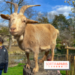 Visuels enfants, attractions, parc, Jardin d'Acclimatation, animaux, zoo