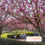 Les magnolias du Jardin du Palais Royal  - printemps - visuel Paris
