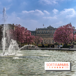 Les magnolias du Jardin du Palais Royal  - printemps - visuel Paris - fontaine - chaleur - beau temps