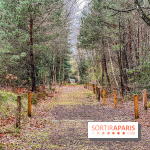 Arbor&Sens, l'Arboretum de Franchard en forêt de Fontainebleau - les photos - IMG 7938