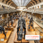 La Galerie de Paléontologie et d'Anatomie comparée du Muséum au Jardin des Plantes