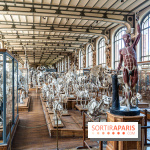 La Galerie de Paléontologie et d'Anatomie comparée du Muséum au Jardin des Plantes - A7C7488