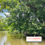 Domaine de Chamarande - nos photos - image00007