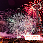 Feu d'artifice du 14 juillet de Paris 2024, les photos 