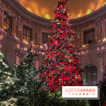 Noël 2024 au Château de Vaux-le-Vicomte : une expérience magique avec une patinoire