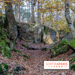 Randonnée à Fontainebleau : le sentier sur les pas de Denecourt jusqu’à la Tour Denecourt -  A7C7562