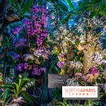 Mille et une orchidées 2025 - les photos