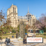 Le Square Viviani devant Notre-Dame de Paris