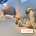 Déserts : l'exposition scientifique se dévoile au Muséum d'Histoire naturelle de Paris