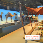 Déserts : l'exposition scientifique se dévoile au Muséum d'Histoire naturelle de Paris
