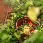 Campagne #1223 - Jardin21 Ateliers LevietPhoto 072025 2784