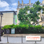 Maison européenne de la photographie MEP visuel