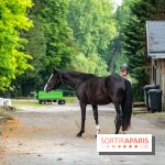 Visite guidée de l'École Mlitaire d'Équitation