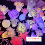 Jardiner : une exposition au cœur de la nature à vivre à la Cité des Sciences et de l'Industrie