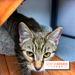 Le Chatelier  - IMG 2495