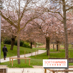 Les cerisiers du parc Martin Luther King - Clichy - Batignoles