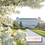 Les floraisons exceptionnelles du Jardin des Plantes 2026 : tulipes, coquelicots et cerisiers - photos