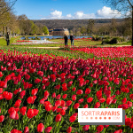 Les tulipes du Château de Dampierre, son jardin anglais et le jardin Le Nôtre