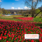 Les tulipes du Château de Dampierre, son jardin anglais et le jardin Le Nôtre