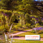 Le Parc des Ibis au Vésinet dans les Yvelines en Région Parisienne - photos  - A7200695 2