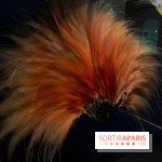 Plumes de Paradis, l'expo au musée du Quai Branly - nos photos
