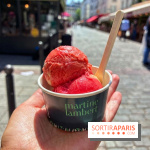 Glaces Martine Lambert - glacier