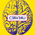 Cerveau, exposition Cité des Sciences