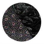 Najeon, l'exposition gratuite qui met en avant l'art de la nacre au Centre culturel coréen 