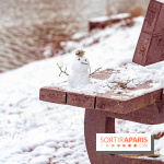 Neige et verglas en Île-de-France la semaine prochaine ? 