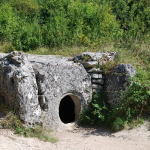 Fête de la Nature 2024 au Bois de Morval à Guiry-en-Vexin dans le Val d'Oise