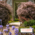 10 parcs et jardins à Paris et en Île-de-France à découvrir absolument en mai 2025 - jardin des plantes