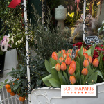 La foire aux Plantes de Crèvecœur-En-Brie 2026 (77)