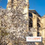 Paris : le printemps prend de l'avance : 6 spots d'arbres en fleurs à découvrir en ce moment