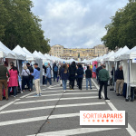 Brocantes et vide-greniers des Yvelines ce week-end dans le 78