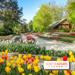 Le Parc Floral de Paris Vincennes, tulipes