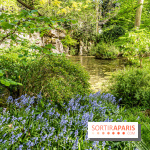 Les Jardins du musée Albert-Kahn qui nous emmènent en voyage