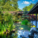 Les jardins japonais du Parc Floral de Paris au Bois de Vincennes 