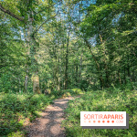 The Nights of the Forests 2023 dans le Val-D'oise (95): le programme