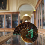 Codex on the Rocks : du street art au Musée de Minéralogie de l'École des Mines de Paris