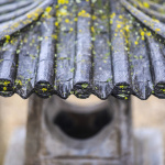 Rendez-vous aux jardins 2026 : visite zen d'un jardin japonisant en Essonne