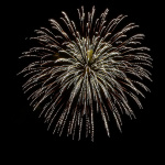 Fête nationale du 14 juillet : pique-nique et feu d'artifice à Clichy-sous-Bois (93)