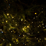 Noël 2025 : un jardin enchanté s'illumine au musée de l'Outil (95)