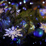 Noël 2025 : un atelier DIY pour créer sa propre fleur de Noël artisanal à Saint-Maure-des-Fossés (94)